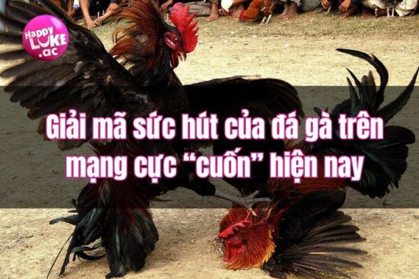 Giải mã sức hút của đá gà trên mạng cực “cuốn” hiện nay