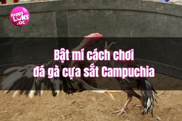 Bật mí cách chơi đá gà cựa sắt Campuchia từ kê thủ chuyên nghiệp