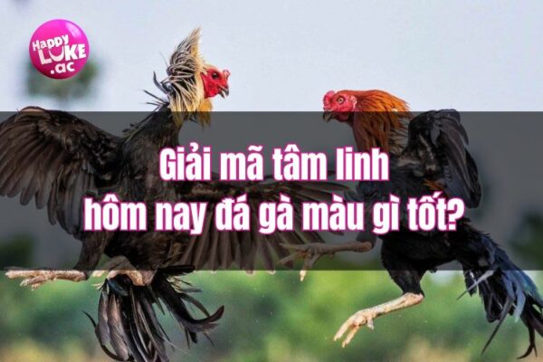 Giải mã tâm linh hôm nay đá gà màu gì tốt? 