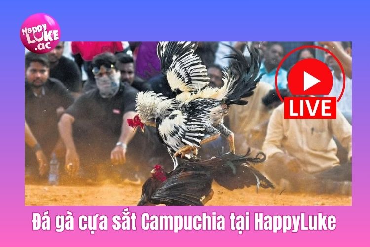 Hướng dẫn cách chơi đá gà cựa sắt Campuchia tại HappyLuke 