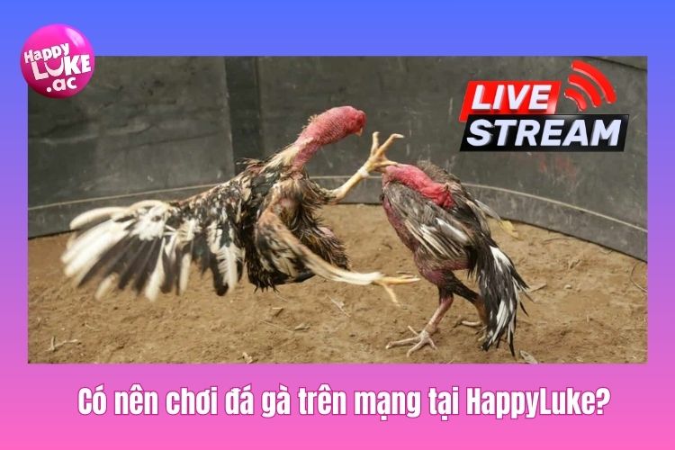 Có nên chơi đá gà trên mạng tại nhà cái HappyLuke hay không?